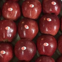 Apple Fresh